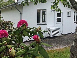 Vakantiehuis Dronningmølle Buitenaudio-opname 3