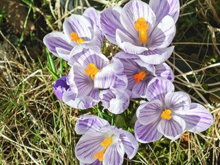 Vakantiehuis Bullaren  15