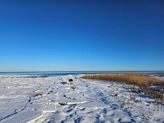 Ferienhaus Ørsted  44