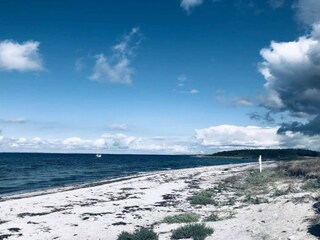 Ferienhaus Bagenkop  60