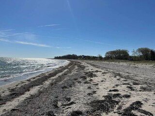 Ferienhaus Bagenkop  66