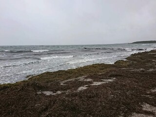 Ferienhaus Bagenkop  29