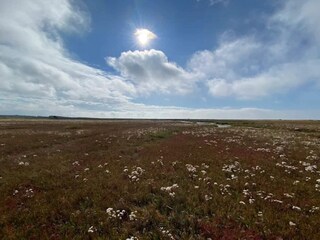Vakantiehuis Læsø  20
