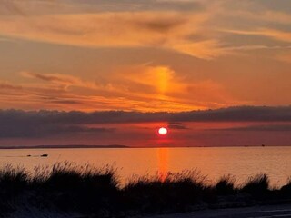 Holiday house Læsø  36