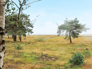 Vakantiehuis Læsø  27