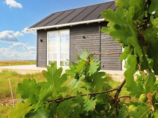 Vakantiehuis Læsø  31