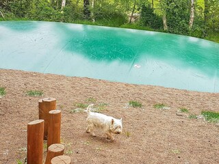 Vakantiehuis Marielyst  17