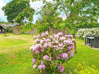 Vakantiehuis Høll  23