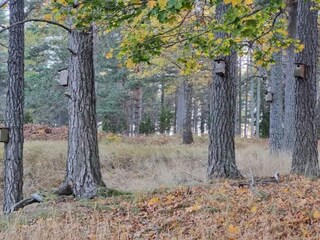 Casa per le vacanze Ingarö  22