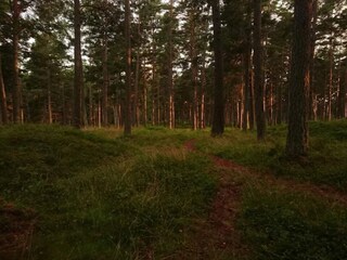 Casa de vacaciones Ingarö  24