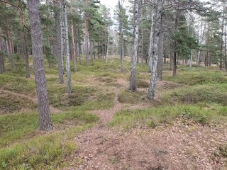 Casa per le vacanze Ingarö  25