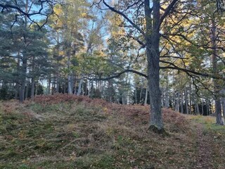 Casa per le vacanze Ingarö  26