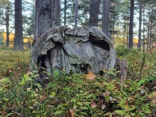 Casa per le vacanze Ingarö  32