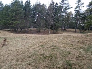 Holiday house Ingarö  36