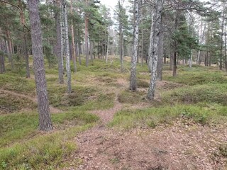 Holiday house Ingarö  18