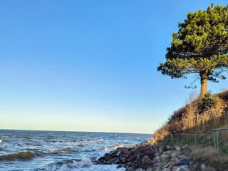 Maison de vacances Brenderup  20