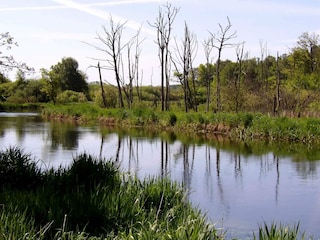 Ferienhaus Truust  37