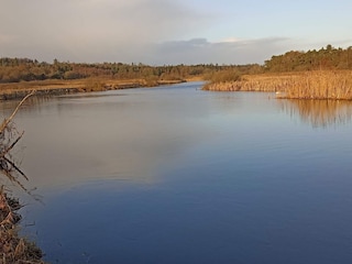 Ferienhaus Truust  38