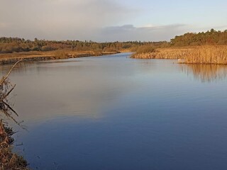 Vakantiehuis Truust  38