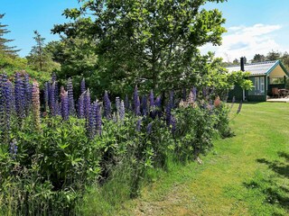 Casa per le vacanze Lønstrup  3