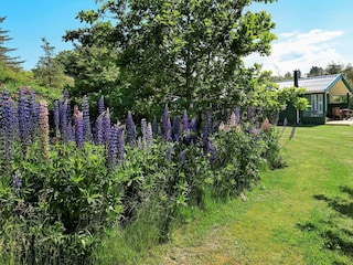 Maison de vacances Lønstrup  7