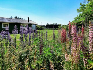 Maison de vacances Lønstrup  11