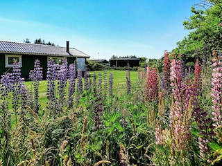 Maison de vacances Lønstrup  13