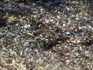 Vakantiehuis Binderup Strand  30