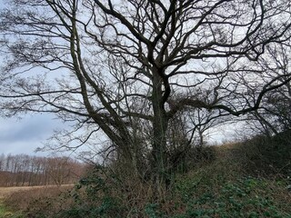 Ferienhaus Ebeltoft  16