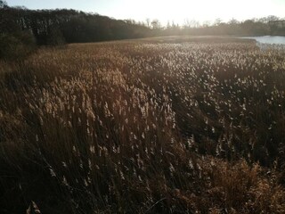 Ferienhaus Ebeltoft  20
