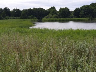 Casa per le vacanze Ebeltoft  23