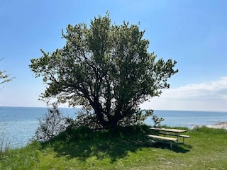 Vakantiehuis Marielyst  50