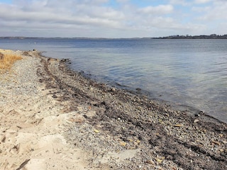 Apartment Schausende  30