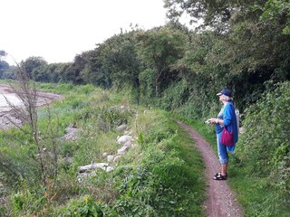 Appartement Schausende  23