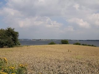 Apartment Schausende  24