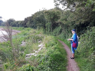 Apartment Schausende  36