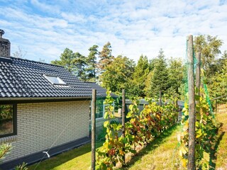 Ferienhaus Skaven Strand  35