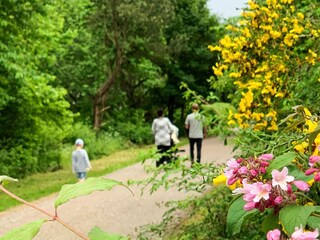 Vakantiehuis Falsled  25