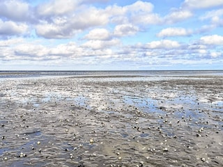 Vakantiehuis Marielyst  25