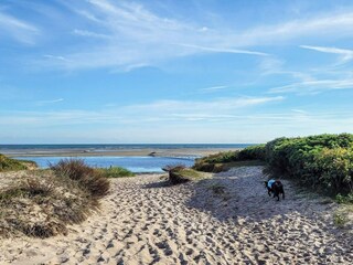 Ferienhaus Marielyst  46