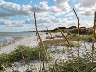 Vakantiehuis Marielyst  4