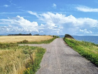 Casa per le vacanze Karrebæksminde Registrazione all'aperto 2