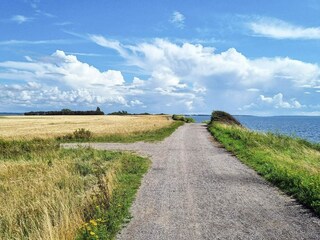 Casa per le vacanze Karrebæksminde Registrazione all'aperto 4