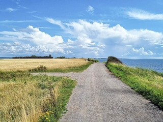 Ferienhaus Karrebæksminde Außenaufnahme 2