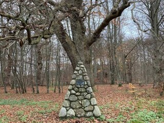 Ferienhaus Faxe Ladeplads  29