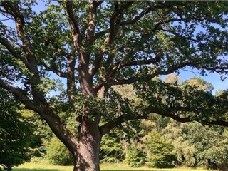 Vakantiehuis Faxe Ladeplads  30