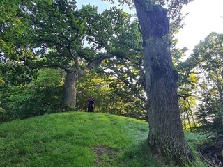 Ferienhaus Faxe Ladeplads  10