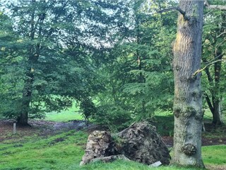 Ferienhaus Faxe Ladeplads  31