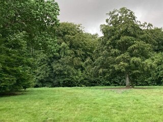 Vakantiehuis Faxe Ladeplads  20