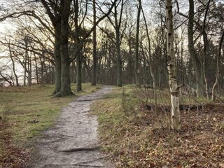 Vakantiehuis Faxe Ladeplads  5